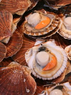 recette-de-la-semaine-par-anael-stolz-saint-jacques-aux-epices-2125